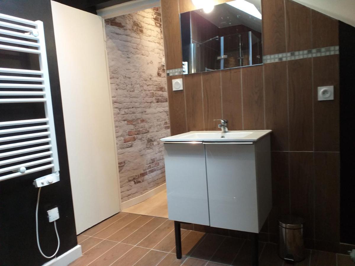 Les Volets Bleus - Refaits à neuf, deux appartements et un studio, Jardin Bourges Exterior foto