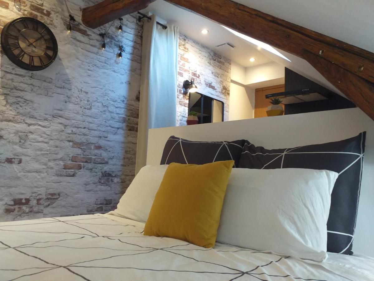 Les Volets Bleus - Refaits à neuf, deux appartements et un studio, Jardin Bourges Exterior foto