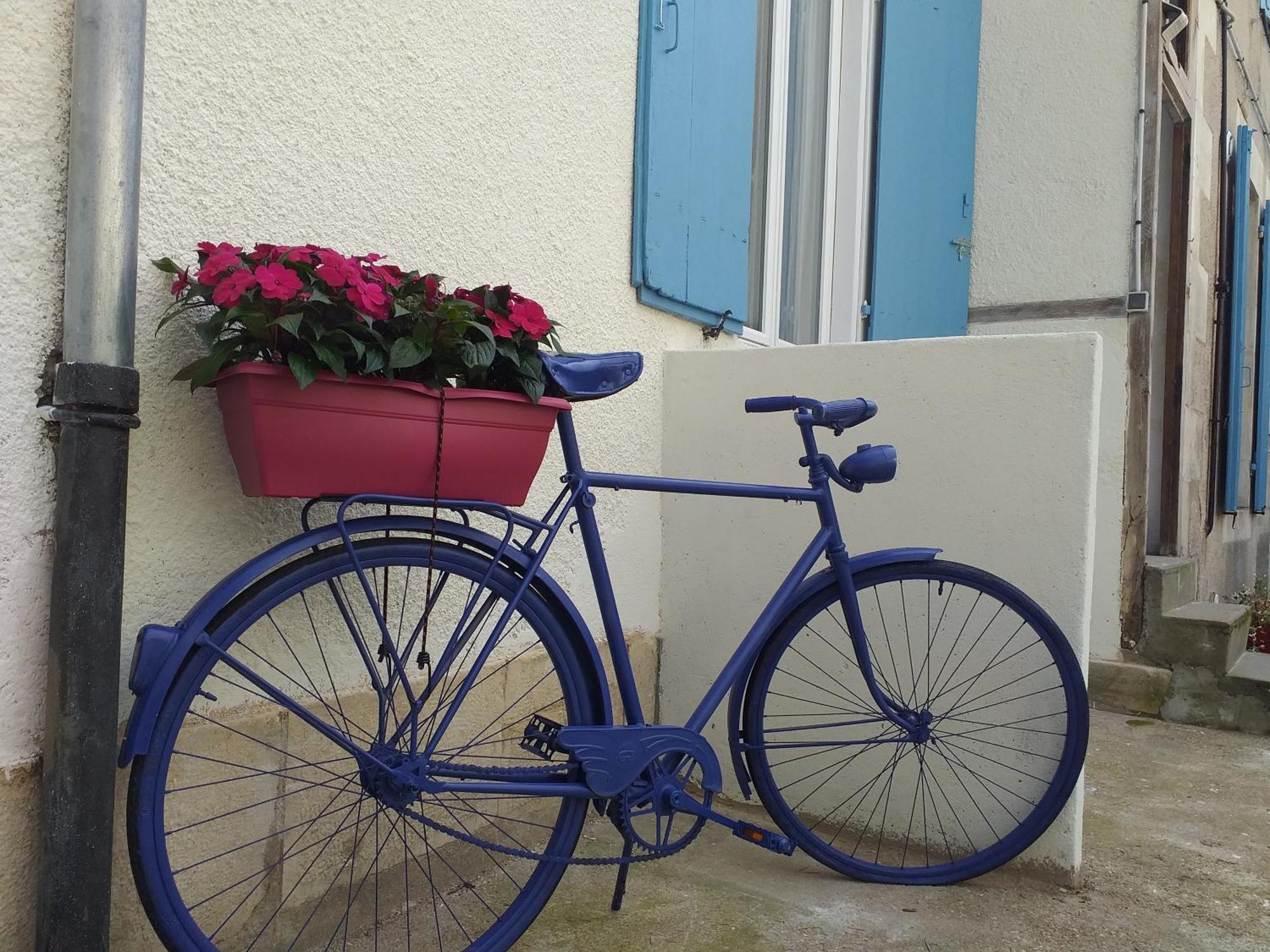 Les Volets Bleus - Refaits à neuf, deux appartements et un studio, Jardin Bourges Quarto foto