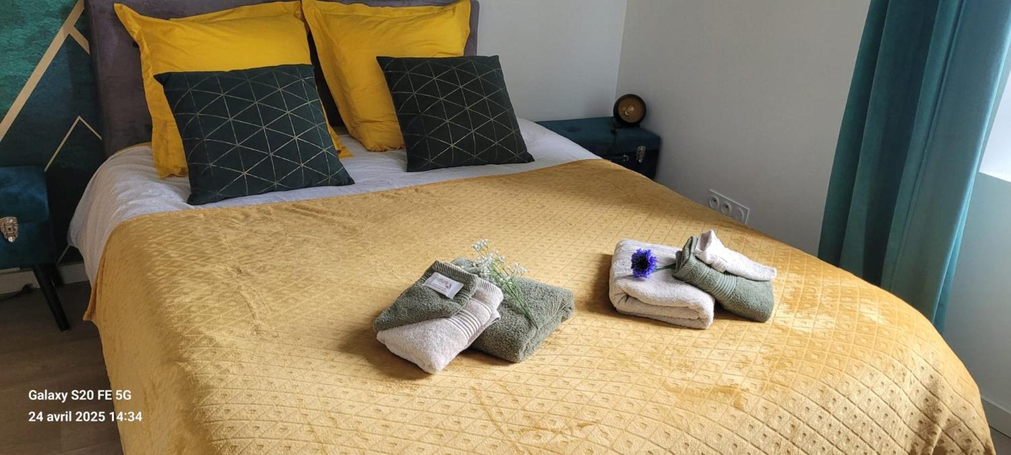 Les Volets Bleus - Refaits à neuf, deux appartements et un studio, Jardin Bourges Exterior foto